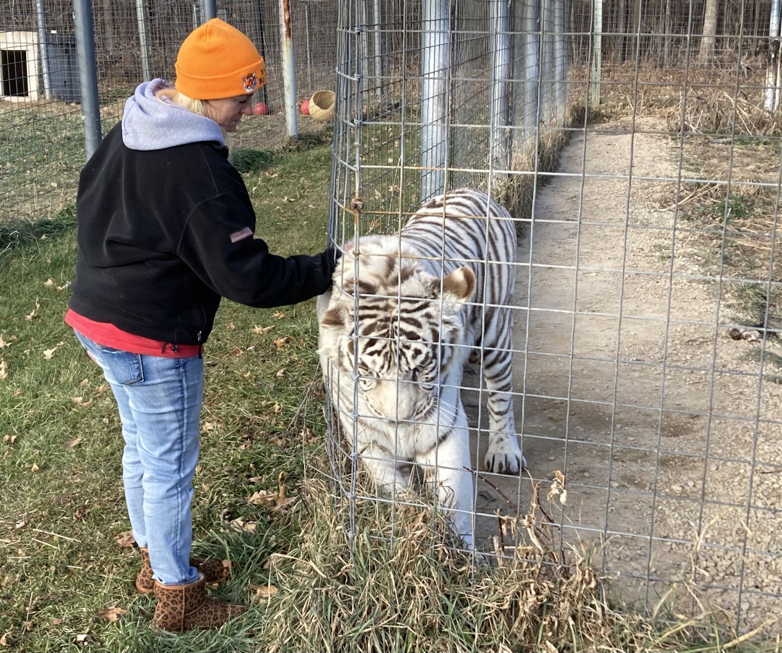 Wisconsin Big Cat Rescue